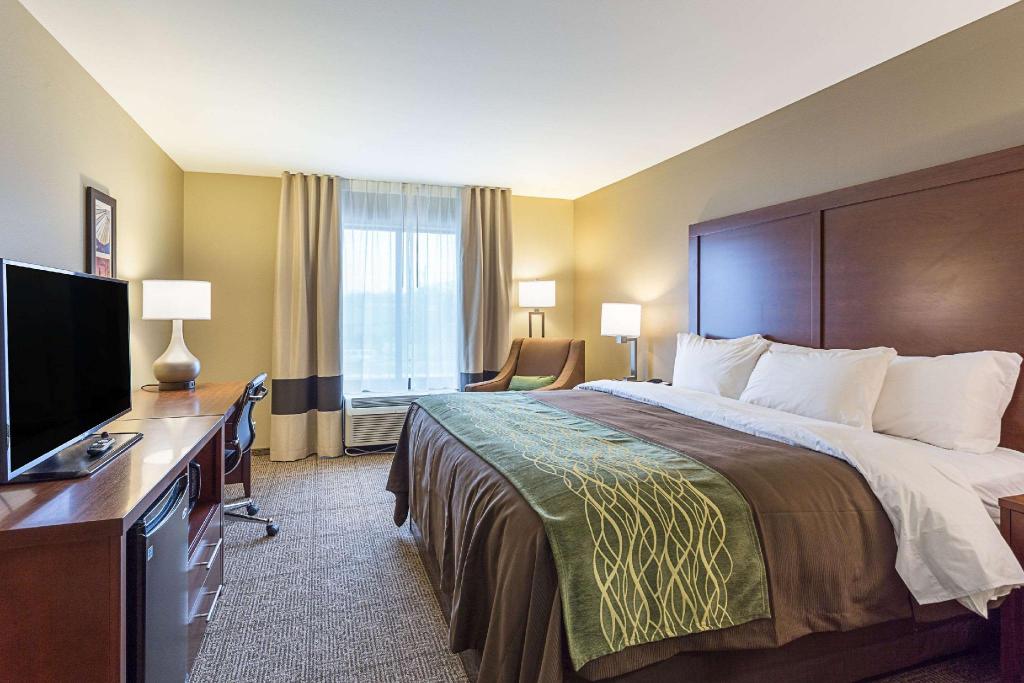 Comfort Inn & Suites Zachary