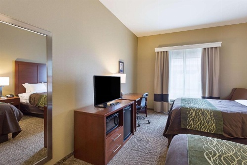 Comfort Inn & Suites Zachary image 10