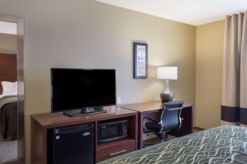Comfort Inn & Suites Zachary image 16