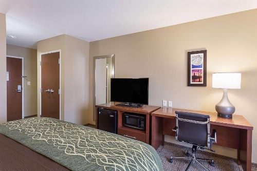 Comfort Inn & Suites Zachary image 17