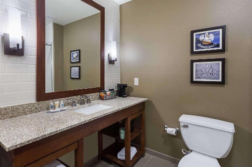 Comfort Inn & Suites Zachary image 19