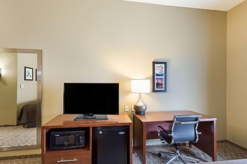 Comfort Inn & Suites Zachary image 3