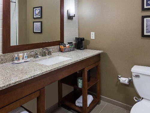 Comfort Inn & Suites Zachary image 32