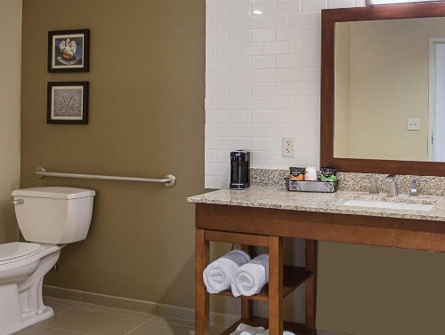 Comfort Inn & Suites Zachary image 37