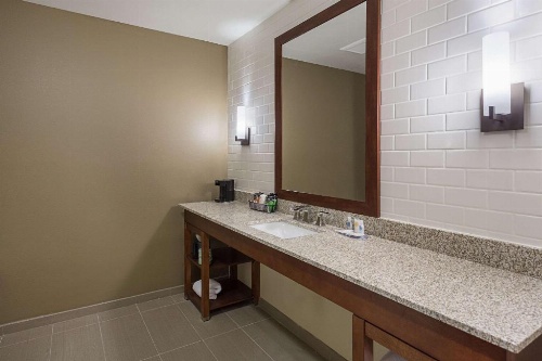 Comfort Inn & Suites Zachary image 4