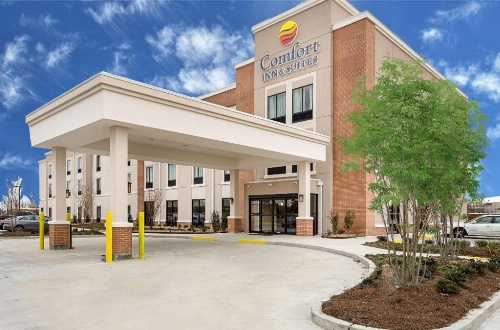 Comfort Inn & Suites Zachary image 43