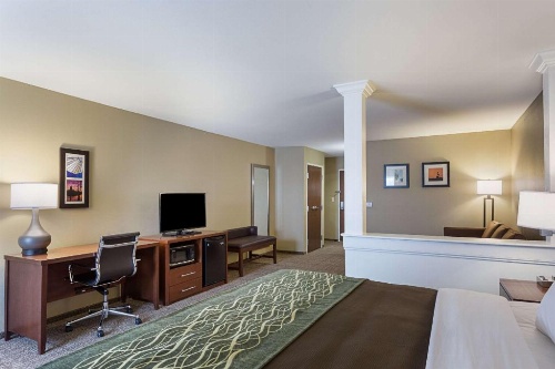 Comfort Inn & Suites Zachary image 6